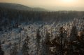 DSC_1030.jpg