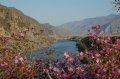 _DSC0004.jpg